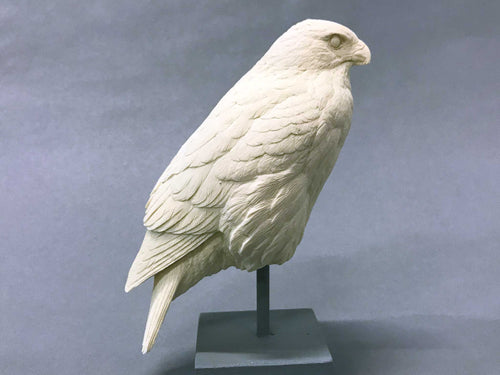 Red-tailed Hawk 1/4 scale Cast