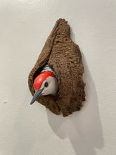 Load image into Gallery viewer, Red bellied woodpecker (head)