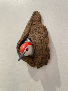 Red bellied woodpecker (head)