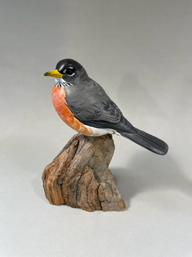 Robin