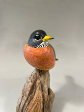 Load image into Gallery viewer, Robin