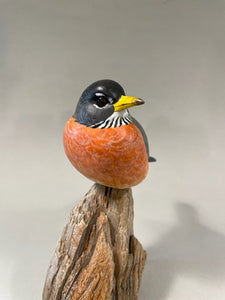 Robin