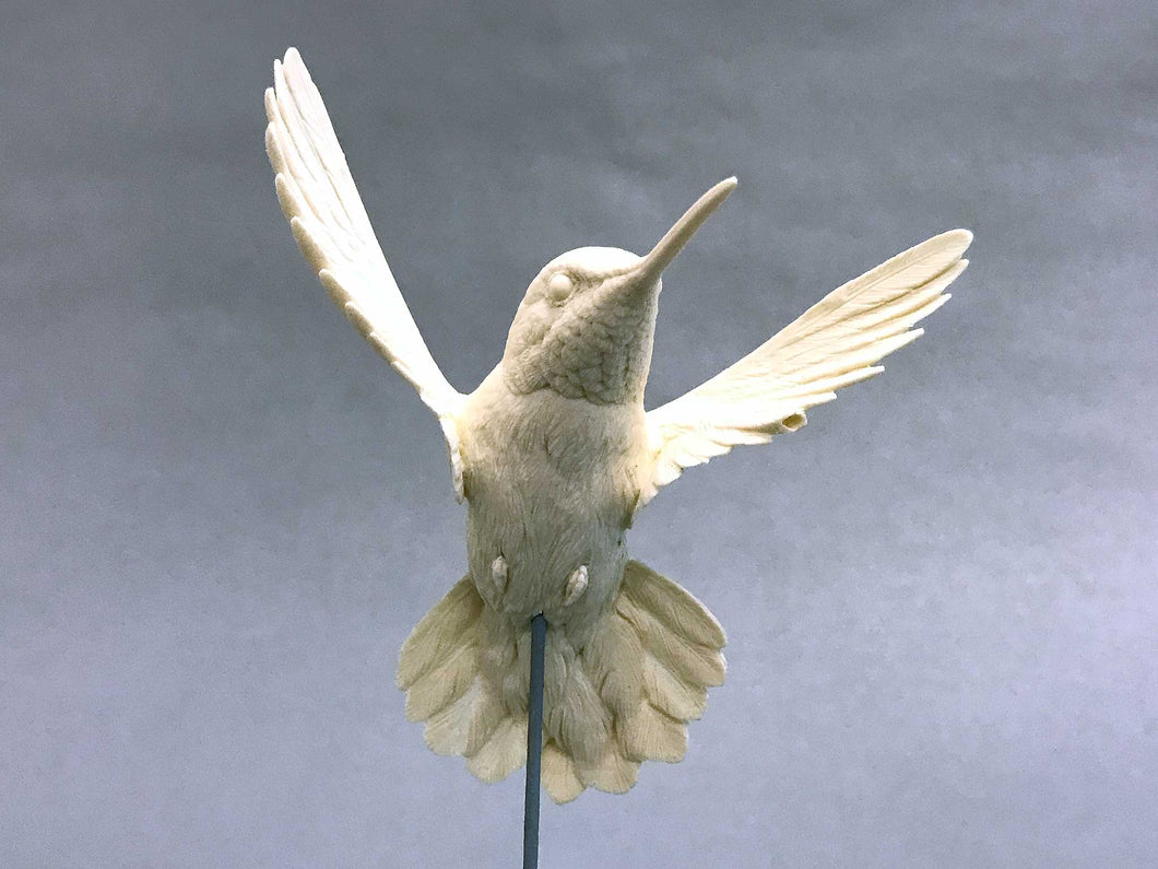 Rufous Hummingbird- Flying Cast