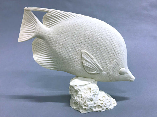 Saddleback Butterflyfish Cast
