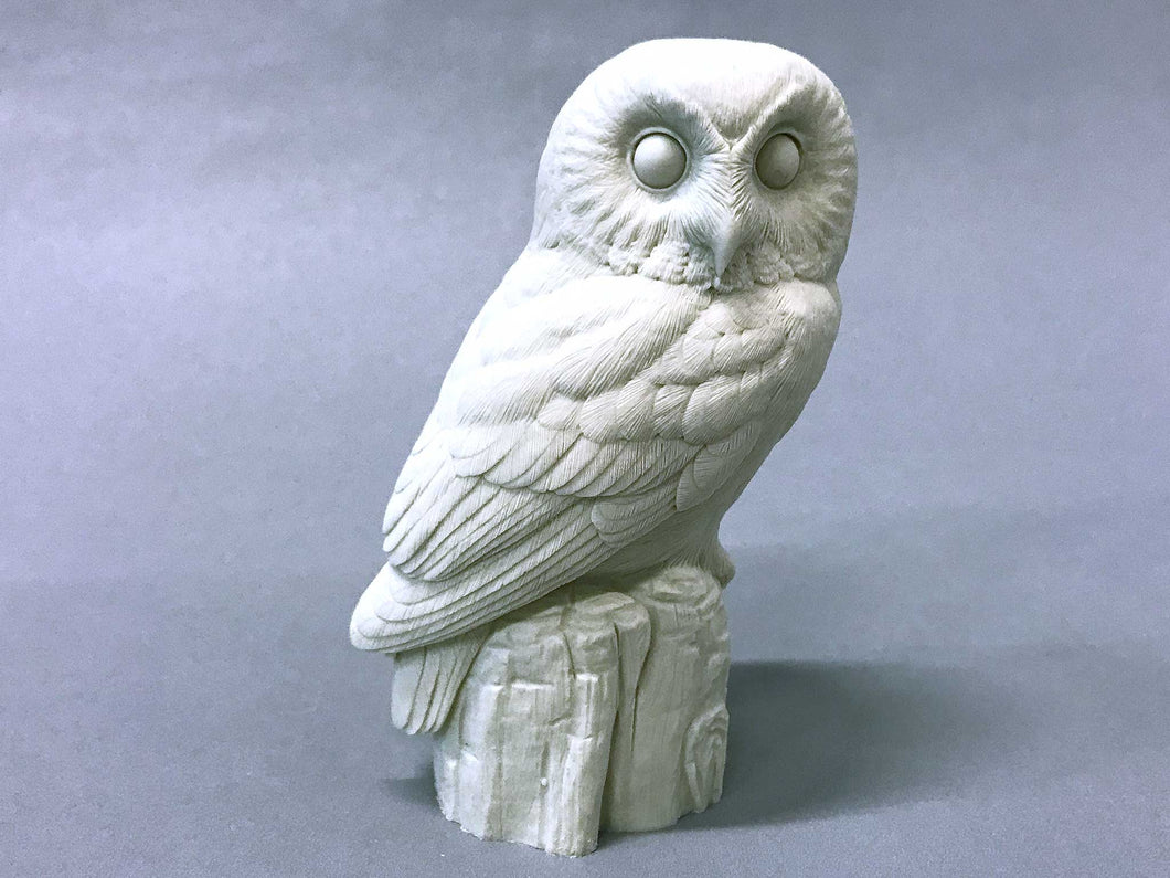 Saw-whet Owl 2/3 scale Cast