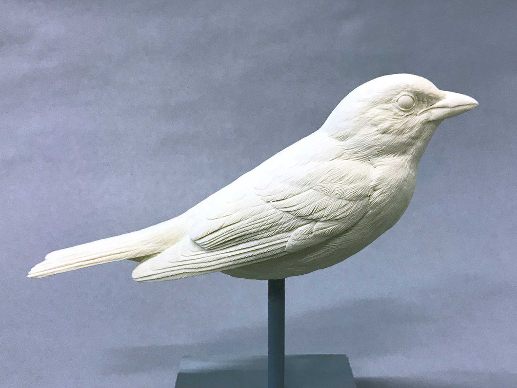 Scarlet/Western Tanager Cast