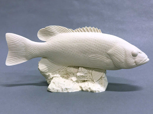 Smallmouth Bass Cast