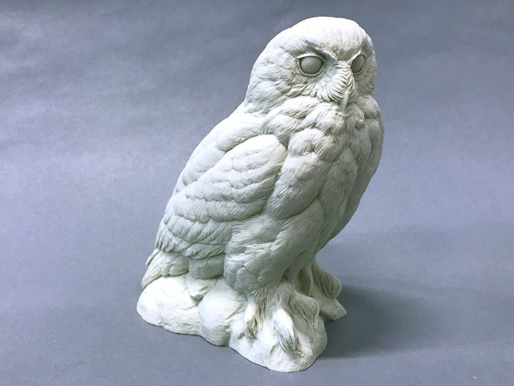 Snowy Owl 1/3 scale Cast