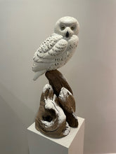 Load image into Gallery viewer, Snowy owl