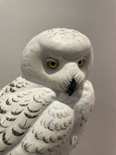Load image into Gallery viewer, Snowy owl