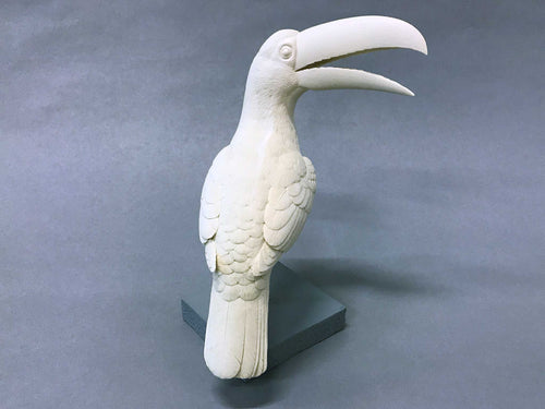 Toco Toucan 1/3 scale Cast