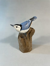 Load image into Gallery viewer, White-breasted Nuthatch