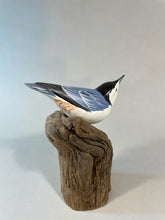 Load image into Gallery viewer, White-breasted Nuthatch