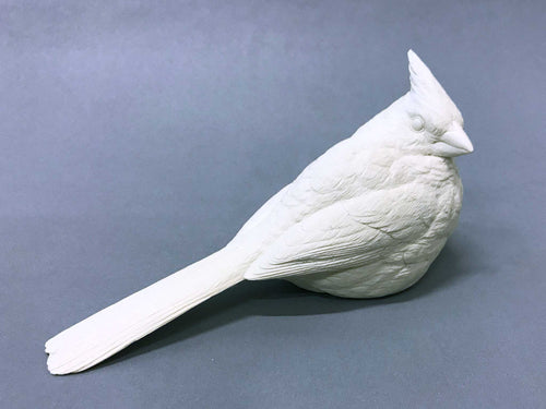 Winter Cardinal Cast