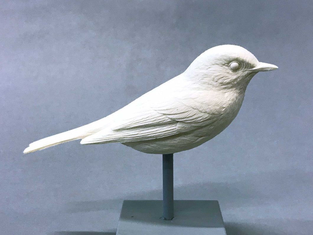 Yellow-rumped Warbler Cast