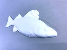 Load image into Gallery viewer, Yellow Perch-12 inch cast