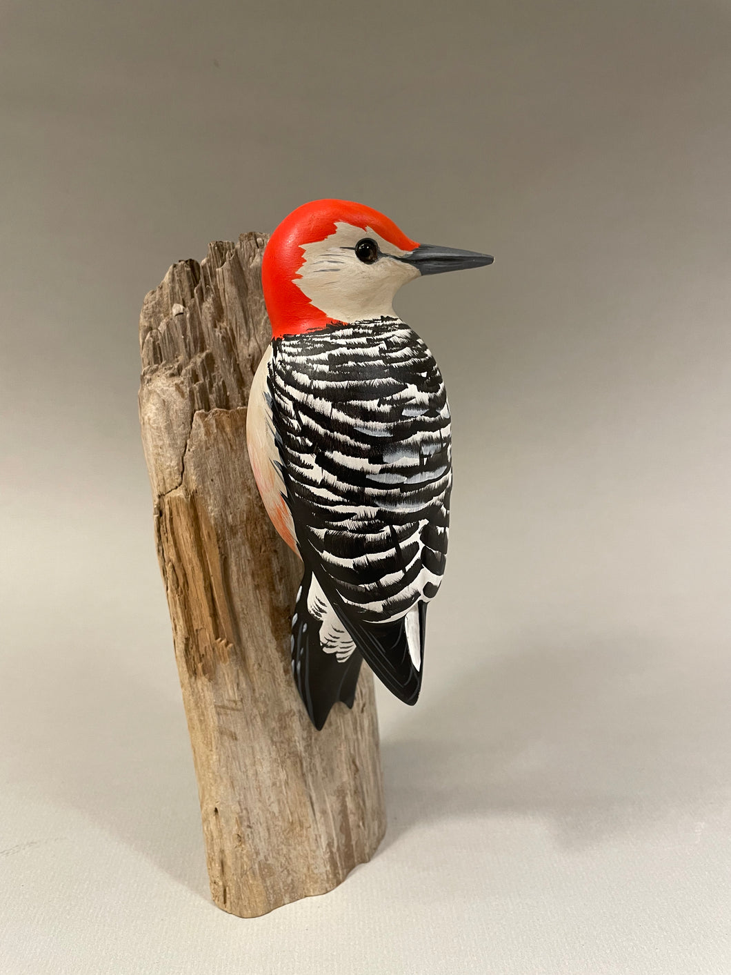 Red-bellied Woodpecker(smoothie)-video seminar