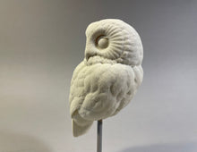Load image into Gallery viewer, Saw-whet owl Cast
