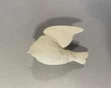 Load image into Gallery viewer, Golden-crowned Kinglet (opened wing) Cast