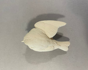 Golden-crowned Kinglet (opened wing) Cast