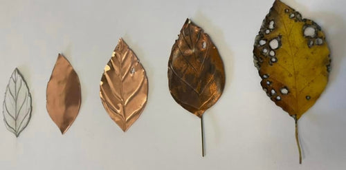 Making Leaves (habitat) packet